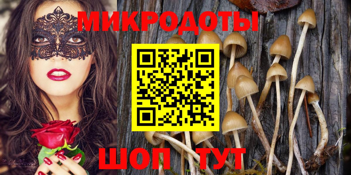 Галлюциногенные грибы GOLDEN TEACHER Среднеуральск